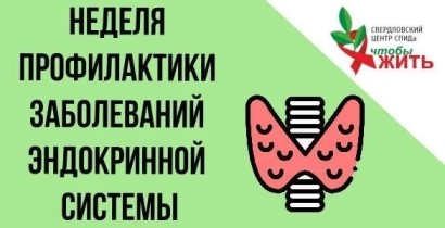 Не только иммунитет: в Свердловском центре СПИДа рассказали, как ВИЧ влияет на гормональное здоровье