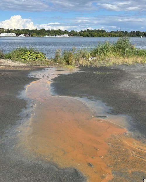 Итоги независимой экспертизы воды в Клязьминском водохранилище ужаснули