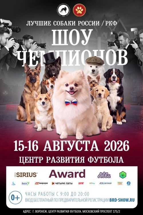 В Воронеже впервые соберутся чемпионы и редкие породы собак со всей России